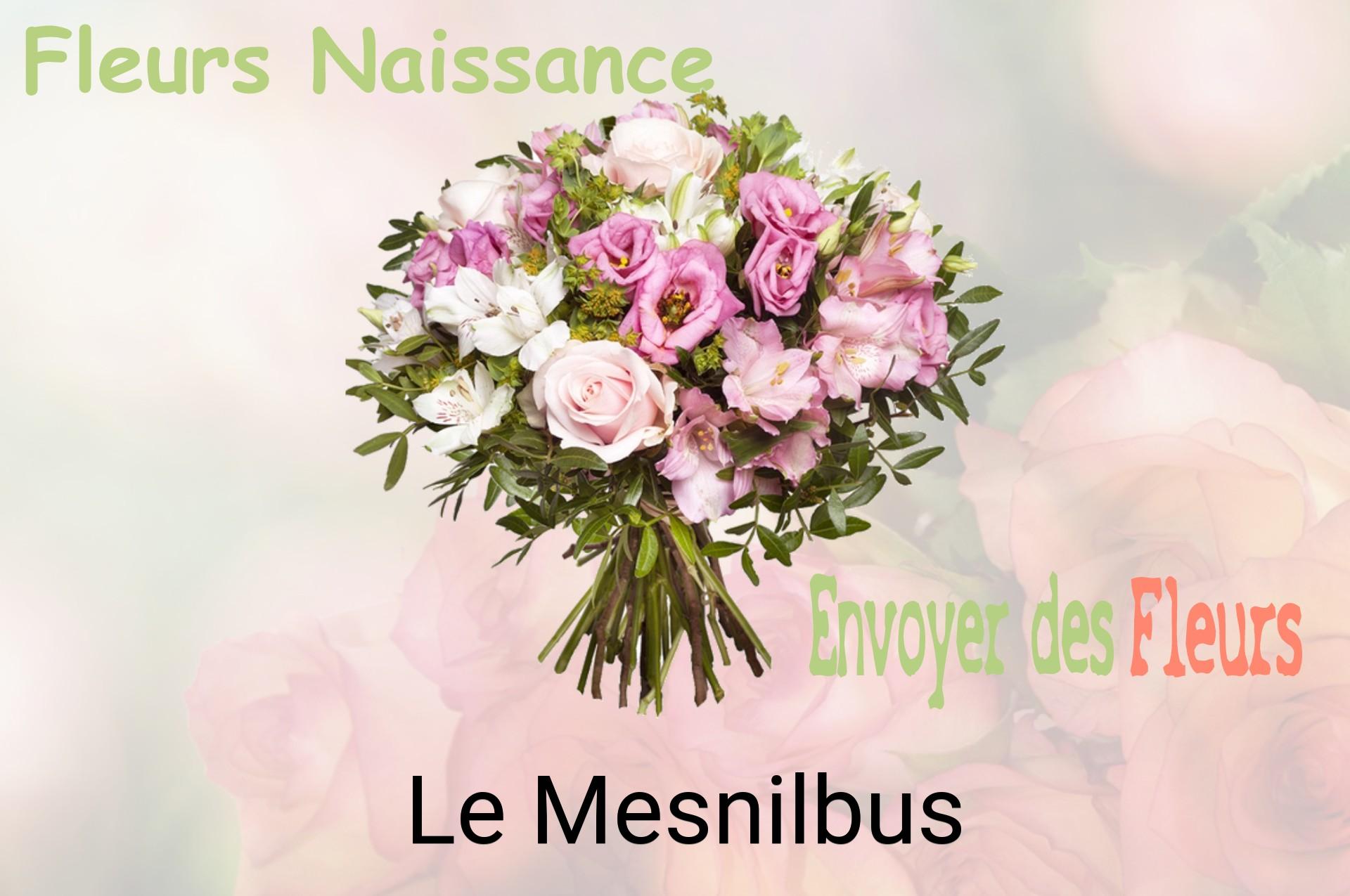 Bouquet de fleurs de naissance livré à Le Mesnilbus